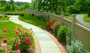 phoca_thumb_l_planting 8